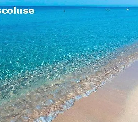 Gelso - Experience A Pescoluse